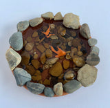 Koi Pond, Small